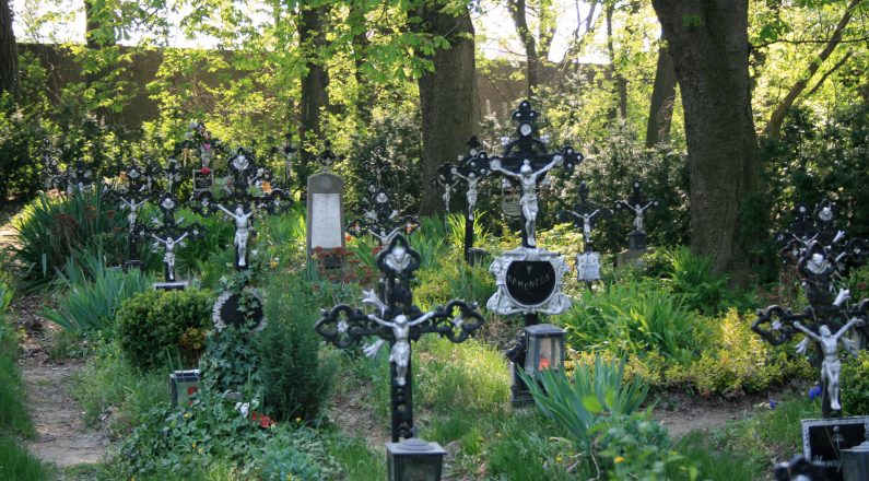 Zentralfriedhof - Gräber der Namenlosen